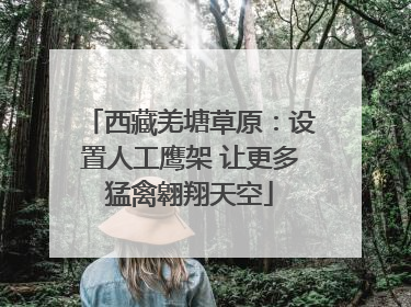 西藏羌塘草原：设置人工鹰架 让更多猛禽翱翔天空