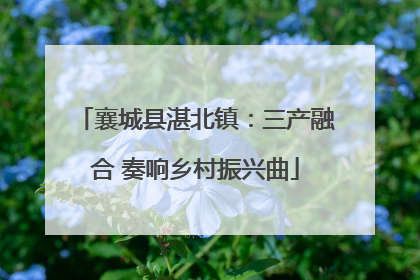 襄城县湛北镇：三产融合 奏响乡村振兴曲