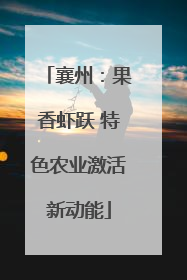 襄州：果香虾跃 特色农业激活新动能