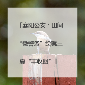 襄阳公安：田间“微警务”绘就三夏“丰收图”
