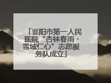 襄阳市第一人民医院“杏林春雨・雪域仁心”志愿服务队成立