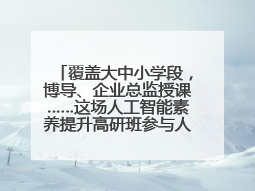 覆盖大中小学段，博导、企业总监授课……这场人工智能素养提升高研班参与人次达30万