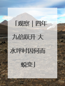 观察｜四年九倍跃升 大水坪村因何而蜕变