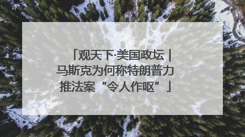 观天下·美国政坛｜马斯克为何称特朗普力推法案“令人作呕”