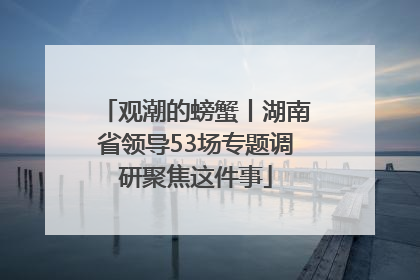 观潮的螃蟹丨湖南省领导53场专题调研聚焦这件事