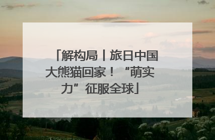 解构局丨旅日中国大熊猫回家！“萌实力”征服全球