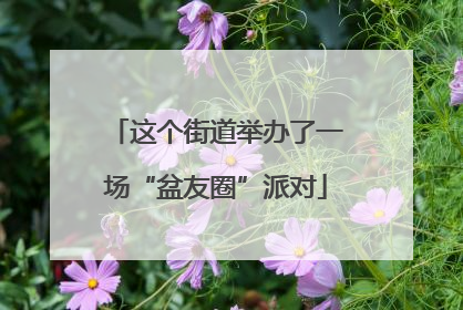 这个街道举办了一场“盆友圈”派对