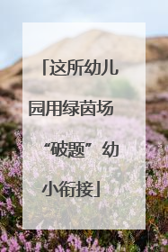 这所幼儿园用绿茵场“破题”幼小衔接