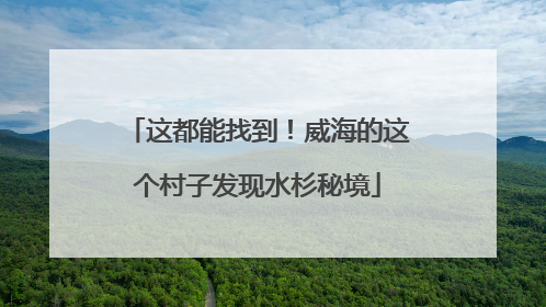 这都能找到！威海的这个村子发现水杉秘境