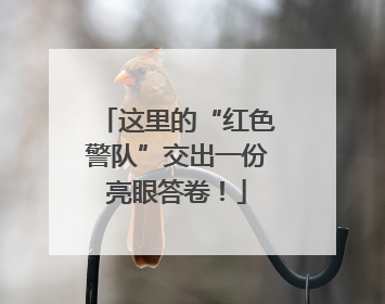 这里的“红色警队”交出一份亮眼答卷！