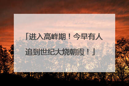 进入高峰期！今早有人追到世纪大烧朝霞！