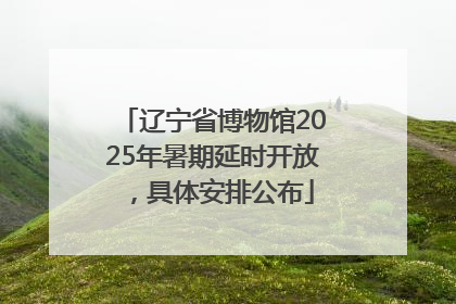 辽宁省博物馆2025年暑期延时开放，具体安排公布