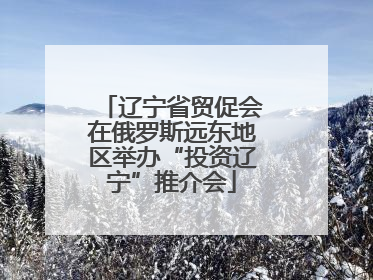 辽宁省贸促会在俄罗斯远东地区举办“投资辽宁”推介会