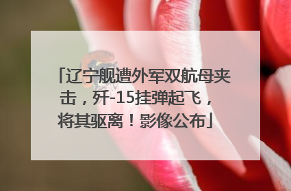 辽宁舰遭外军双航母夹击，歼-15挂弹起飞，将其驱离！影像公布