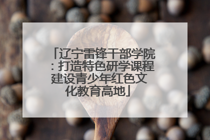 辽宁雷锋干部学院：打造特色研学课程 建设青少年红色文化教育高地