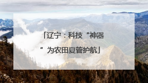 辽宁：科技“神器”为农田夏管护航