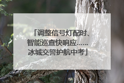 调整信号灯配时、智能巡查快响应……冰城交警护航中考