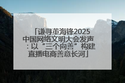 谦寻董海锋2025中国网络文明大会发声：以“三个向善”构建直播电商善意长河