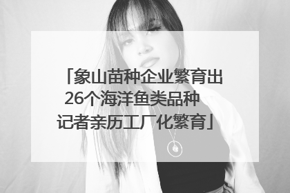 象山苗种企业繁育出26个海洋鱼类品种 记者亲历工厂化繁育