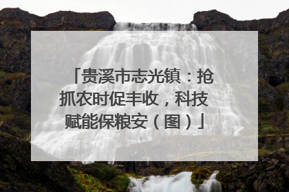 贵溪市志光镇：抢抓农时促丰收，科技赋能保粮安（图）