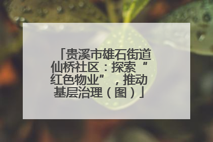 贵溪市雄石街道仙桥社区：探索“红色物业”，推动基层治理（图）
