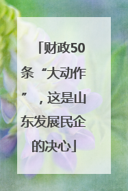 财政50条“大动作”，这是山东发展民企的决心