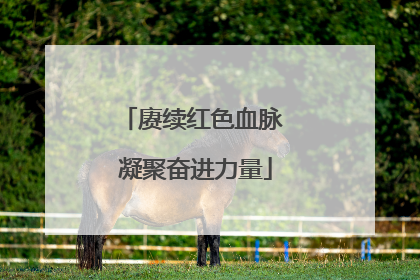 赓续红色血脉 凝聚奋进力量