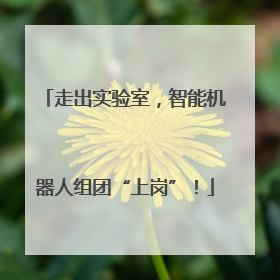 走出实验室，智能机器人组团“上岗”！