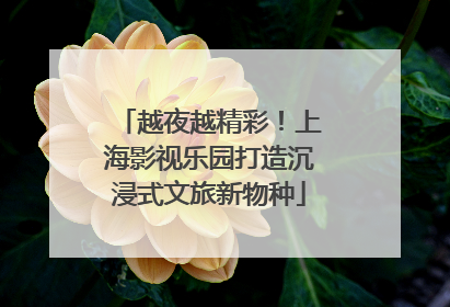 越夜越精彩！上海影视乐园打造沉浸式文旅新物种