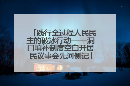 践行全过程人民民主的破冰行动——洞口填补制度空白开居民议事会先河侧记