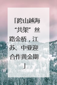跨山越海“共架”丝路金桥，江苏、中亚迎合作黄金期