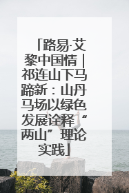 路易·艾黎中国情｜祁连山下马蹄新：山丹马场以绿色发展诠释“两山”理论实践