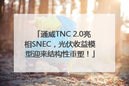 通威TNC 2.0亮相SNEC，光伏收益模型迎来结构性重塑！