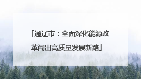 通辽市：全面深化能源改革闯出高质量发展新路