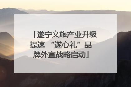 遂宁文旅产业升级提速 “遂心礼”品牌外宣战略启动