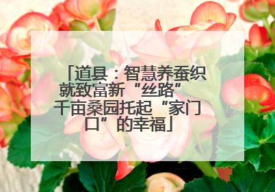 道县：智慧养蚕织就致富新“丝路” 千亩桑园托起“家门口”的幸福