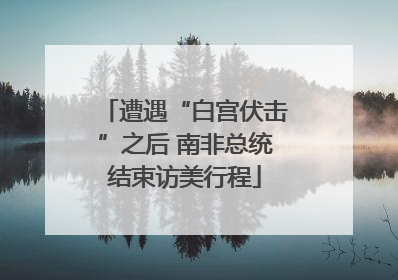 遭遇“白宫伏击”之后 南非总统结束访美行程