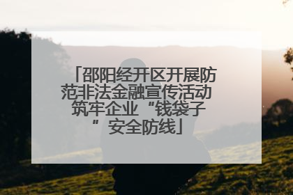 邵阳经开区开展防范非法金融宣传活动 筑牢企业“钱袋子”安全防线