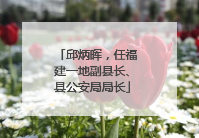 邱炳晖，任福建一地副县长、县公安局局长