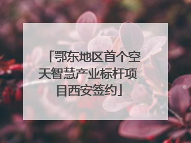 鄂东地区首个空天智慧产业标杆项目西安签约