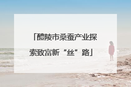 醴陵市桑蚕产业探索致富新“丝”路