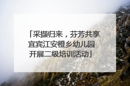 采撷归来，芬芳共享 宜宾江安橙乡幼儿园开展二级培训活动