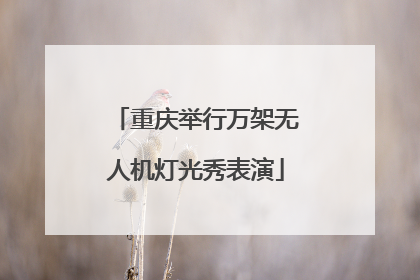 重庆举行万架无人机灯光秀表演