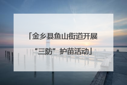 金乡县鱼山街道开展“三防”护苗活动