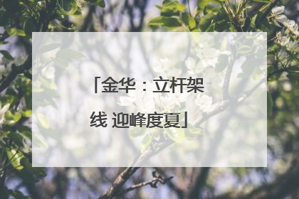 金华：立杆架线 迎峰度夏