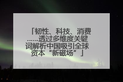 韧性、科技、消费……透过多维度关键词解析中国吸引全球资本“新磁场”