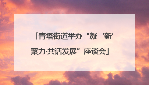 青塔街道举办“凝‘新’聚力·共话发展”座谈会