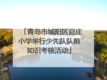 青岛市城阳区夏庄小学举行少先队队前知识考核活动