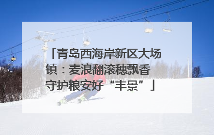 青岛西海岸新区大场镇：麦浪翻滚穗飘香 守护粮安好“丰景”