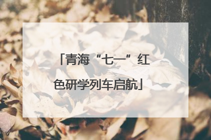 青海“七一”红色研学列车启航